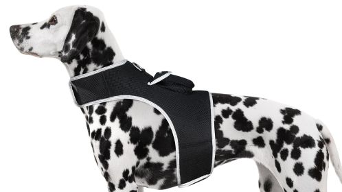 Mini GPS Dog Collar Realtime GSM Tracking Device Wireless Pet Tracker Size:S