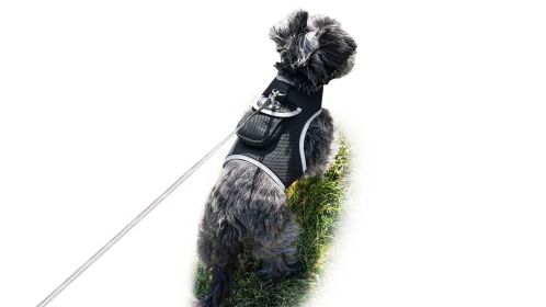 Mini GPS GSM Tracking Dog Collar Device Rechargeable Wireless Security Size:S