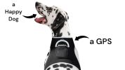 GSM GPS Tracker Dog Cat Realtime Wireless Surveillance Tracking System Size:S