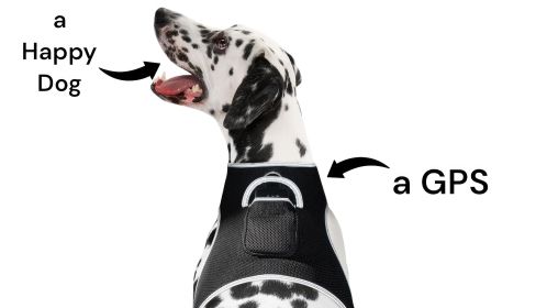 GSM GPS Tracker Dog Cat Realtime Wireless Surveillance Tracking System Size:S