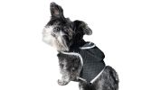 Mini GPS GSM Tracking Dog Collar Device Rechargeable Wireless Security Size:S