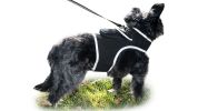 Mini GPS Dog Collar Realtime GSM Tracking Device Wireless Pet Tracker Size:S
