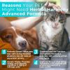 Herbal Calming Drops for Dogs and Cats Natural Anxiety and Stress Relief Pet Relaxation Aid Travel and Home Use