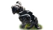GSM GPS Tracker Dog Cat Realtime Wireless Surveillance Tracking System Size:S