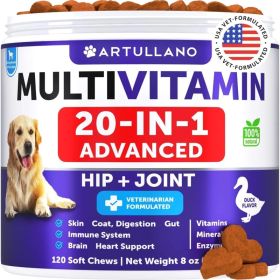 Multivitamin Chewable With Glucosamine 20 In 1 Dog Vitamins And Supplements Senior & Puppy Multivitamin For Dogs (Option: Artullano)
